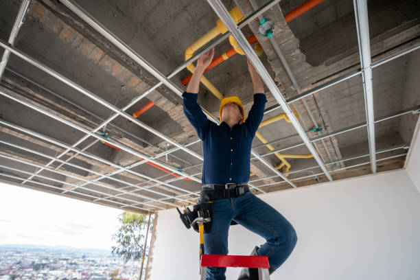 Best Plumbing Inspection Services  in Gueydan, LA